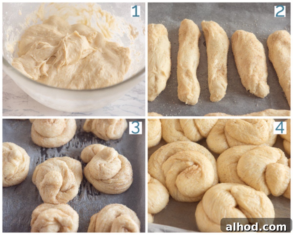 Dutch Cinnamon Swirls 4 A bowl of dough for making boluses, showcasing the smooth and elastic texture ready for shaping.