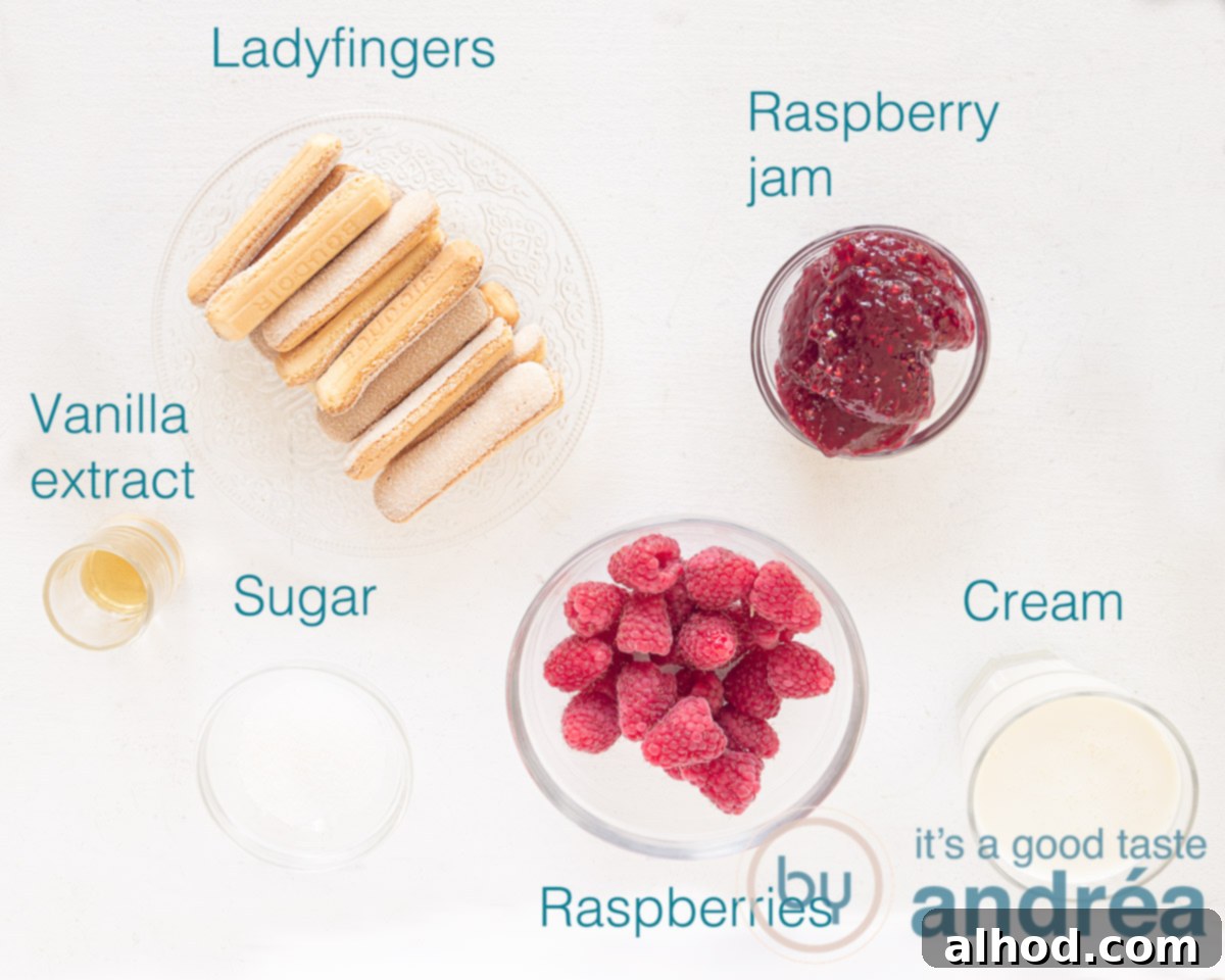 Ingredients for a delicious raspberry trifle with ladyfingers: fresh raspberries, ladyfingers, raspberry jam, cream, vanilla extract, and sugar.