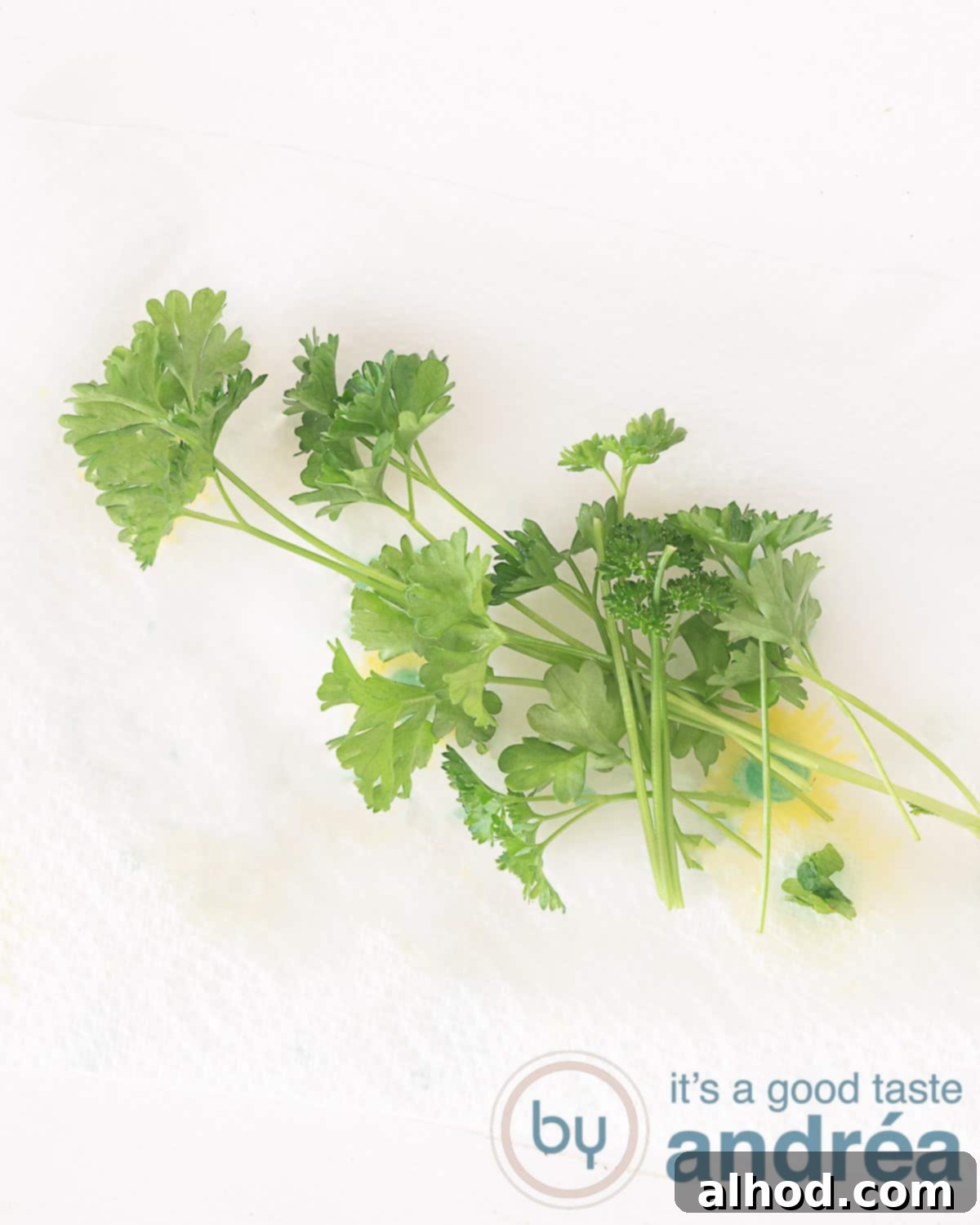 Top Tips for Keeping Fresh Herbs Fresh Longer 3 Parsley on a damp kitchen paper