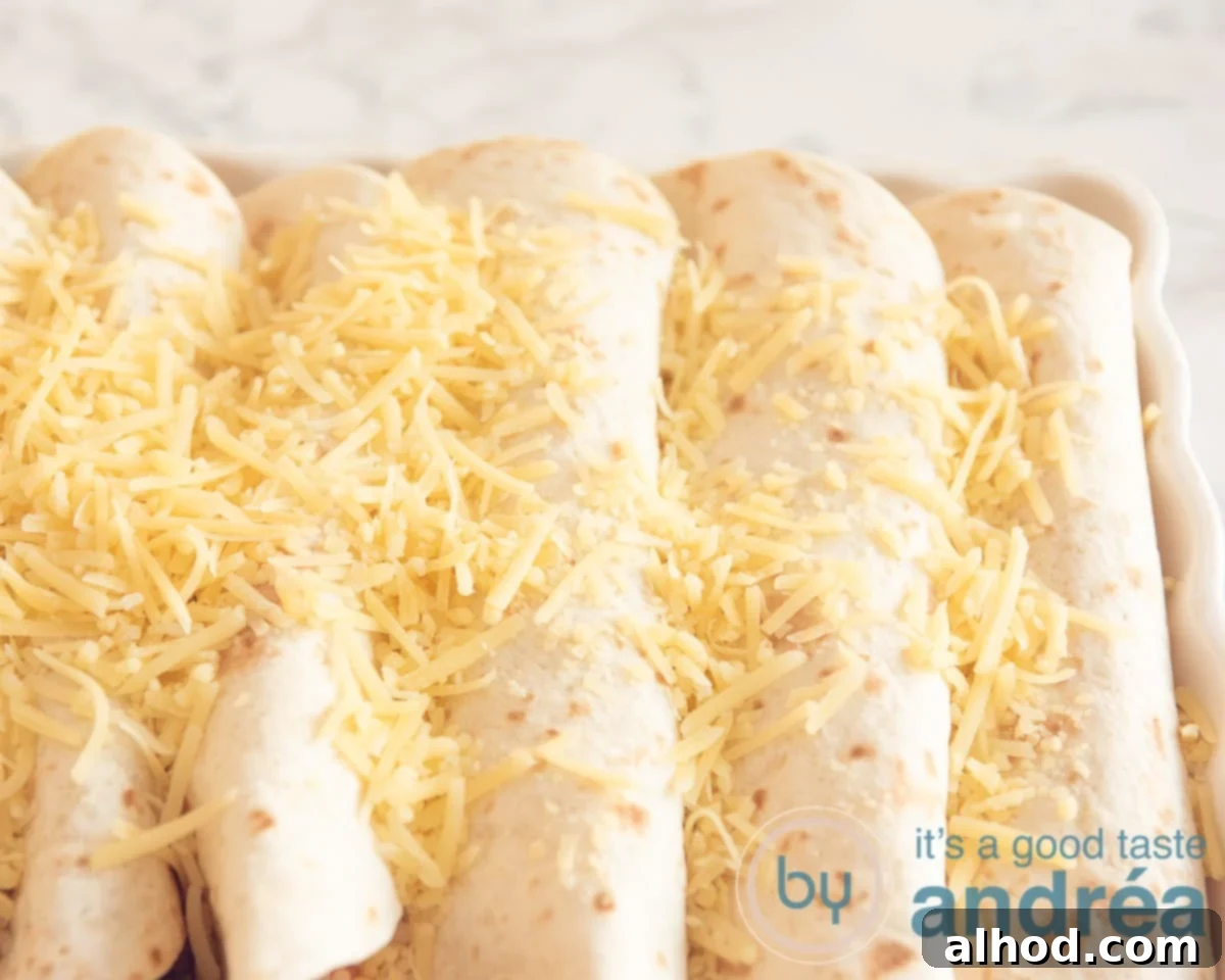 Delicious Ham and Carrot Rice Bake 7 Grated cheese generously sprinkled over rolled tortilla wraps arranged in a casserole dish, ready for their final bake
