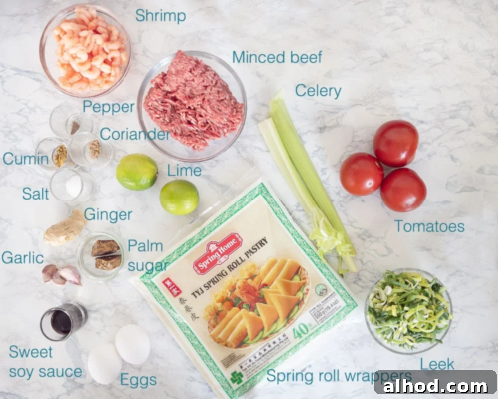 Crispy Air Fryer Indonesian Mini Spring Rolls 3 Ingredients for making mini spring rolls with beef and shrimp