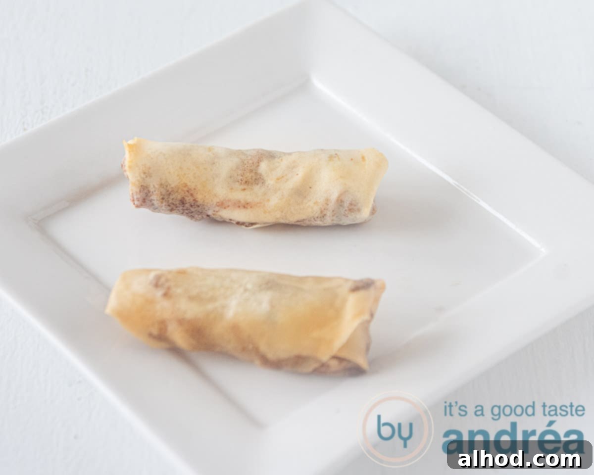 frituur vs airfyer mini loempia