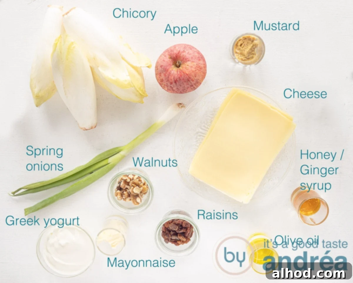 A vibrant flat lay image showcasing all the fresh ingredients needed for the chicory and apple salad, including chicory, apples, cheese, spring onions, walnuts, and raisins, ready for preparation.