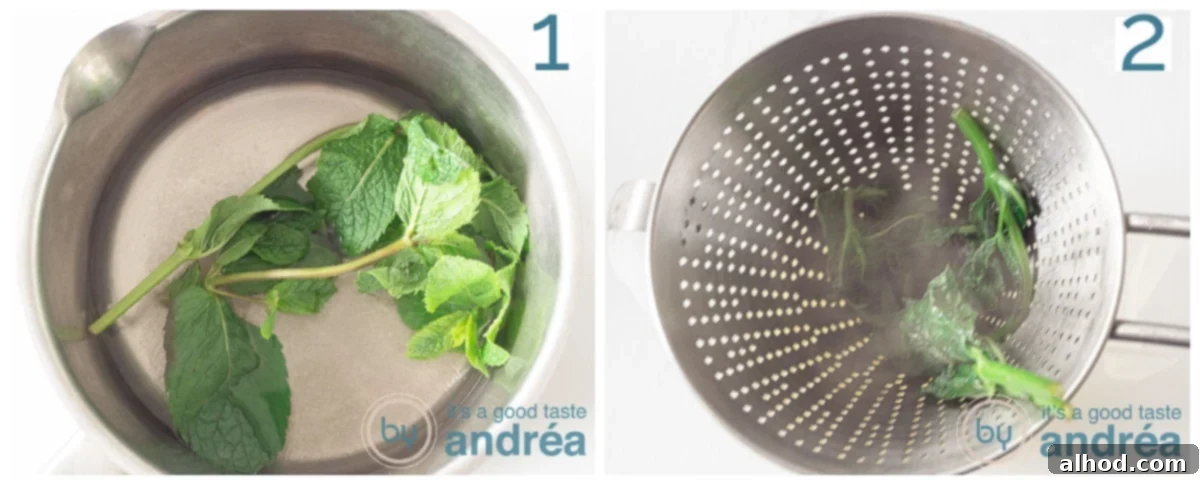 Zesty Limoncello Gin Cocktail 4 two photos boiling mint in sugar water and sieve it afterwards