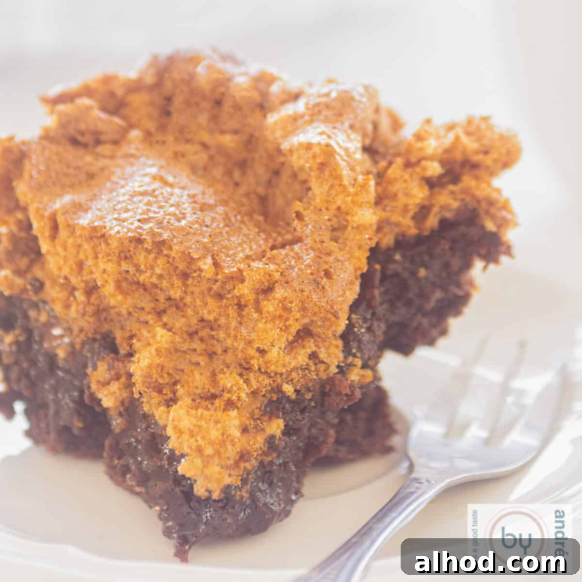 Mississippi Mud Pecan Fudge Brownies 6 A square picture of a part of missispi mud brownies