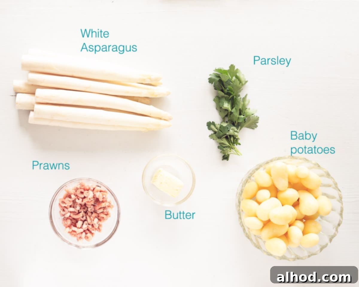 Tender German White Asparagus with Melted Butter 3 A flat lay image displaying all the fresh ingredients needed for German white asparagus with butter sauce and prawns: white asparagus spears, baby yellow potatoes, a bowl of cocktail shrimp, unsalted butter, and fresh parsley.