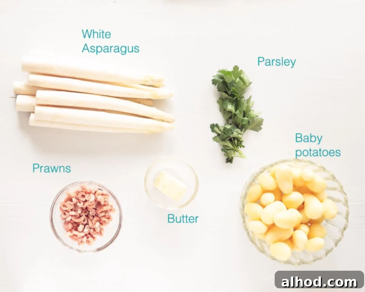 German White Asparagus with Butter Sauce 3 Ingredients for White Asparagus with Butter Sauce and Prawns on a white background with text description