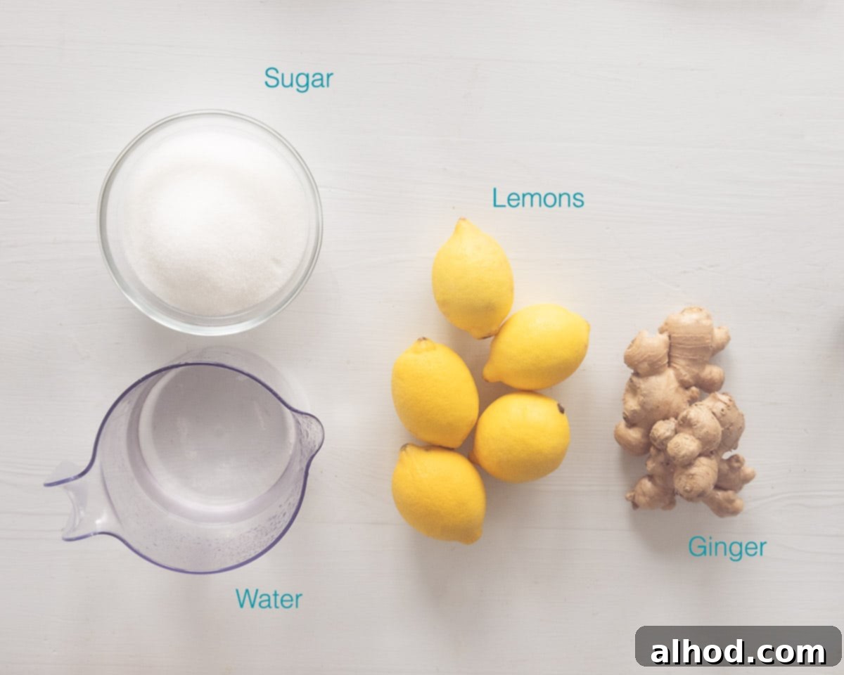 Ingredients Fresh Ginger Syrup for Lemonade on a white background with text description: water, sugar, lemon and ginger