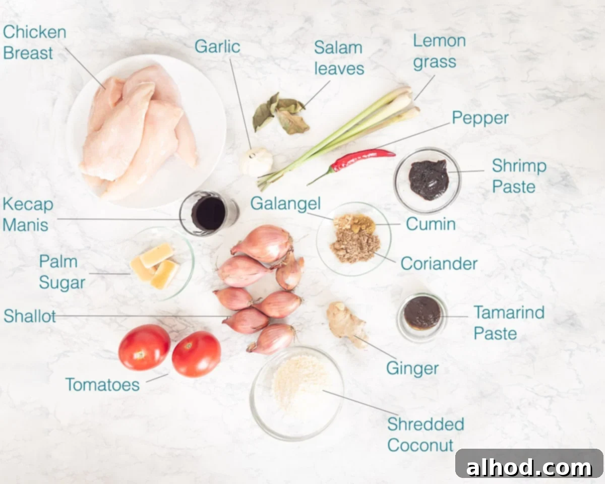 Balinese Spiced Chicken Ayam Bumbu Bali 3 Ingredients Ayam Bumbu Bali individually labeled on a white background