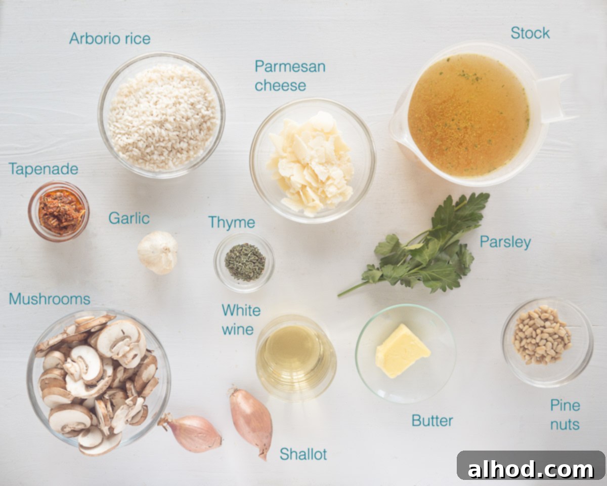 Earthy Mushroom Risotto 3 Ingredients risotto ai funghi mushroom risotto individually labelled on a white background