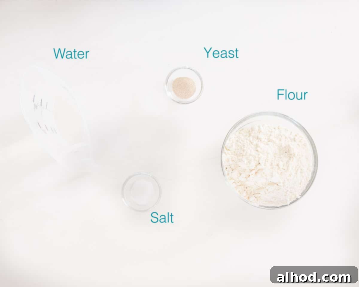 Homemade Pan Pizza: Foolproof Perfection Every Time 3 Ingredients Pizza Dough Pan Pizza individually labelled on a white background