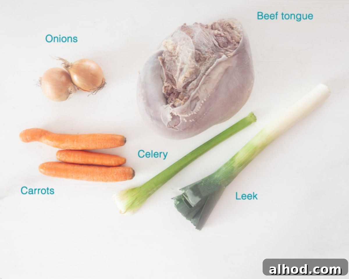 A selection of fresh ingredients for braised beef tongue, neatly arranged and individually labeled on a clean white background, including a beef tongue, salt, celery, onion, leek, and carrot.