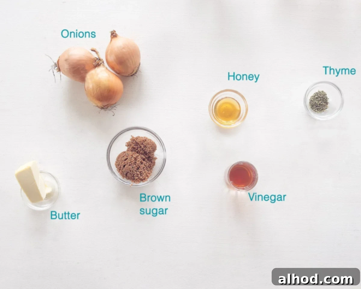 Ingredients How to Caramelize Onions, individually labeled on a white background