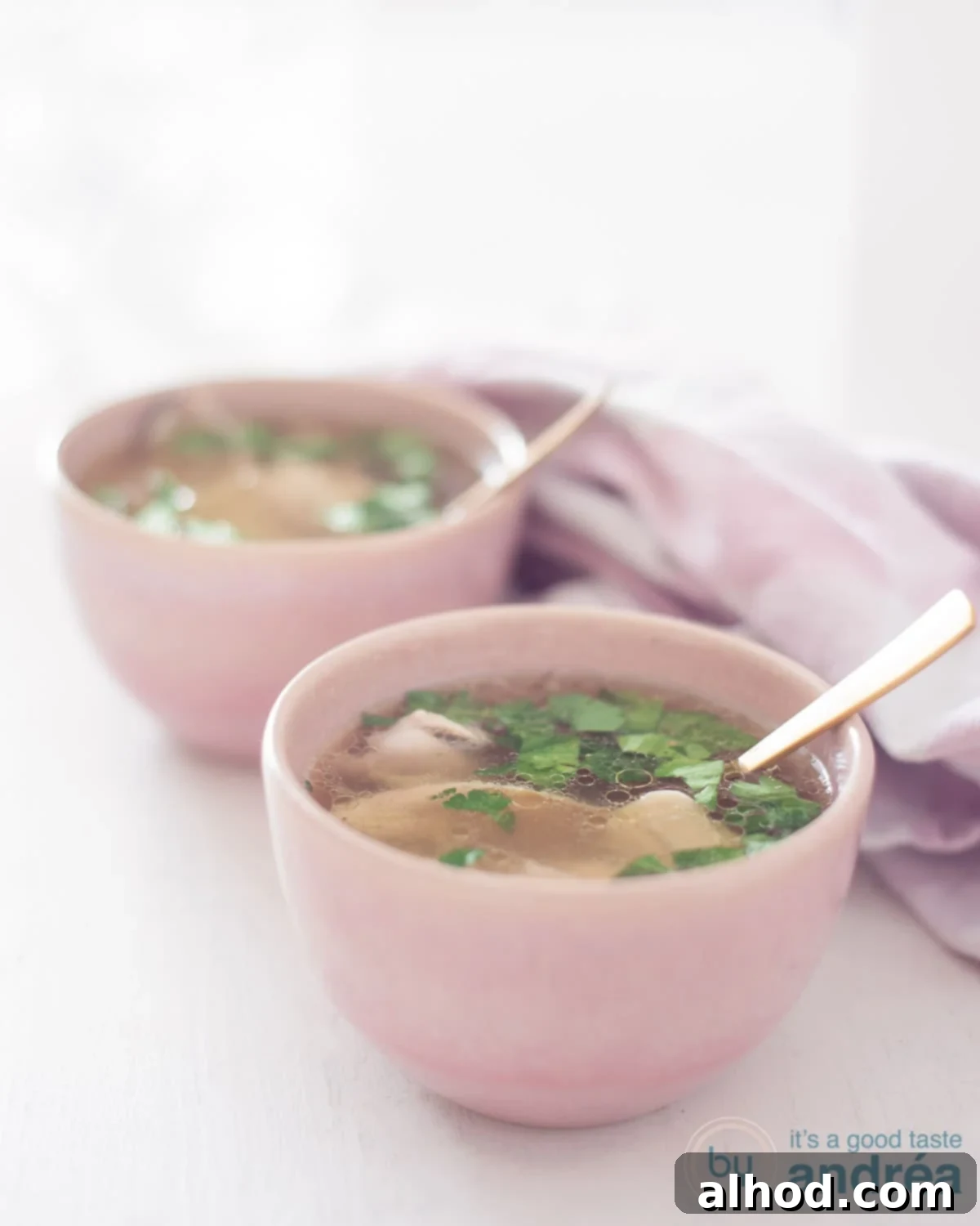 Hearty Dutch Chicken Noodle Soup 3 A height photo with two bowls, pink, filled with soup, lots of chicken and parsley. A white background. A pink and white tea towel.