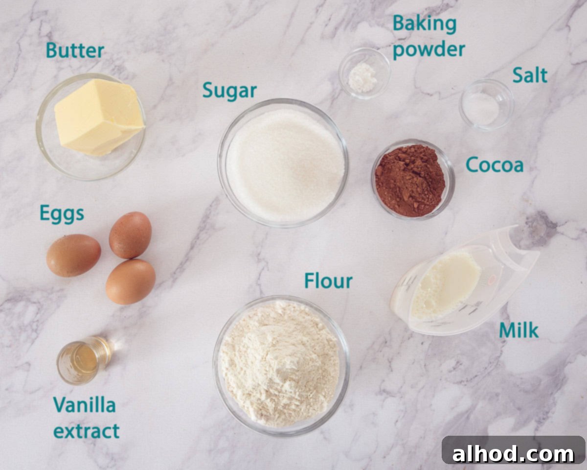 Velvet Chocolate Loaf with Vanilla Notes 3 A flat lay photo of chocolate cake ingredients including vanilla, butter, eggs, flour, and cocoa arranged on a marble background with a text description.