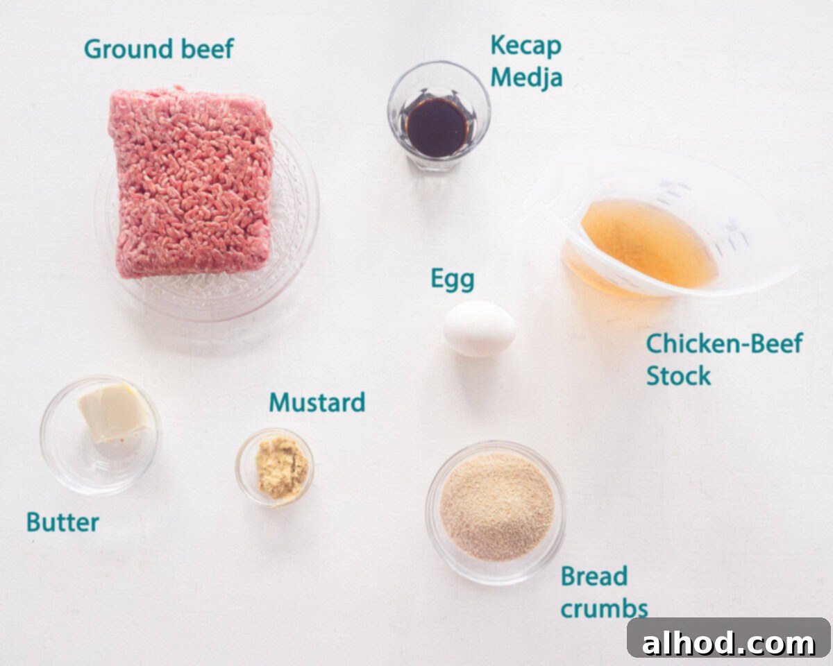 Ingredients meatballs in gravy on a white background with text description