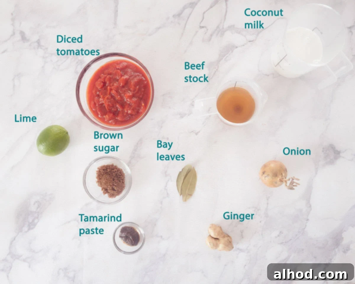 Tender Slow Cooker Beef Madras Curry 4 A pristine white marble background displays the essential ingredients for a creamy curry madras sauce, including coconut milk, tamarind paste, and fresh ginger, with text descriptions for clarity.
