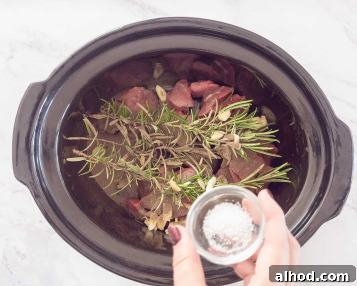Peposo Tuscan Red Wine Beef Stew 4 Slow cooker with meat and herbs with added salt
