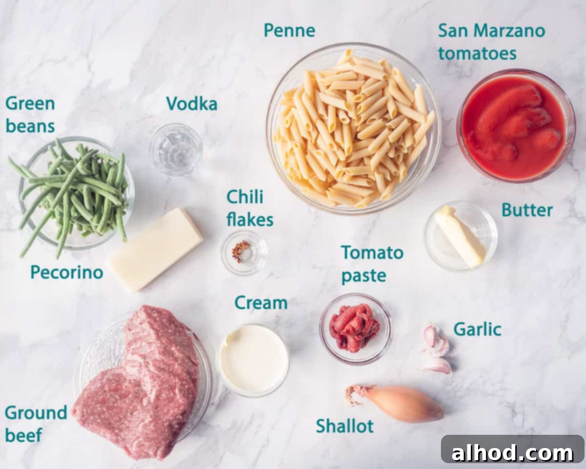 Ingredients Creamy Penne alla Vodka with Pecorino on a white marble background with text description