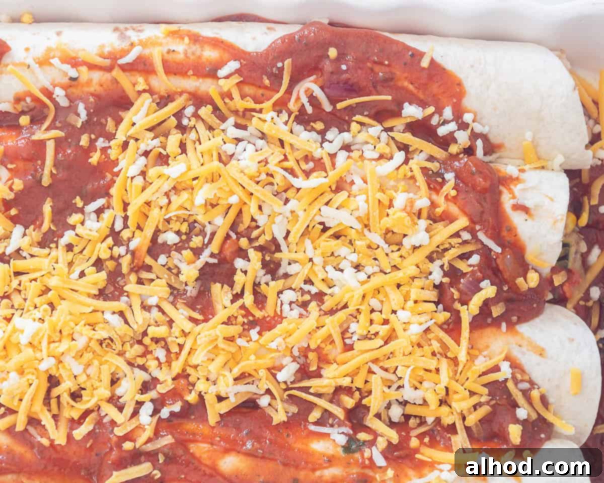 Ultimate Cheesy Beef Enchiladas with a Kick 8 Enchiladas neatly arranged in a baking dish, generously topped with vibrant tomato sauce and a layer of shredded cheese, ready for baking.