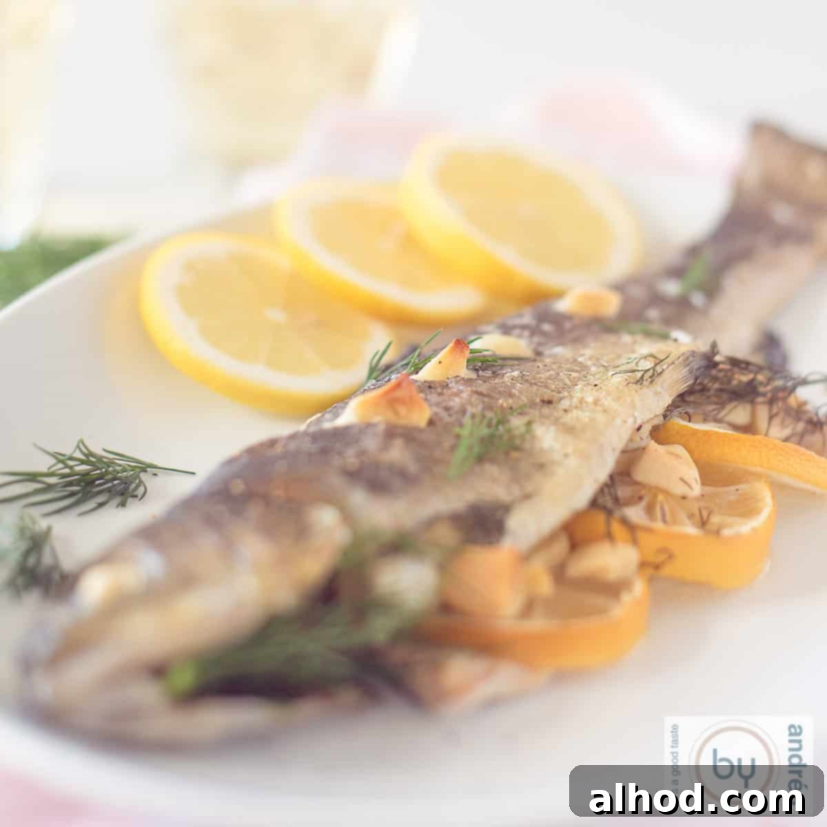 Zesty Lemon Dill Baked Trout 4 A square photo of a white plate with oven-baked salmon trout filled with lemon, dill and garlic. A perfect, healthy fish recipe.