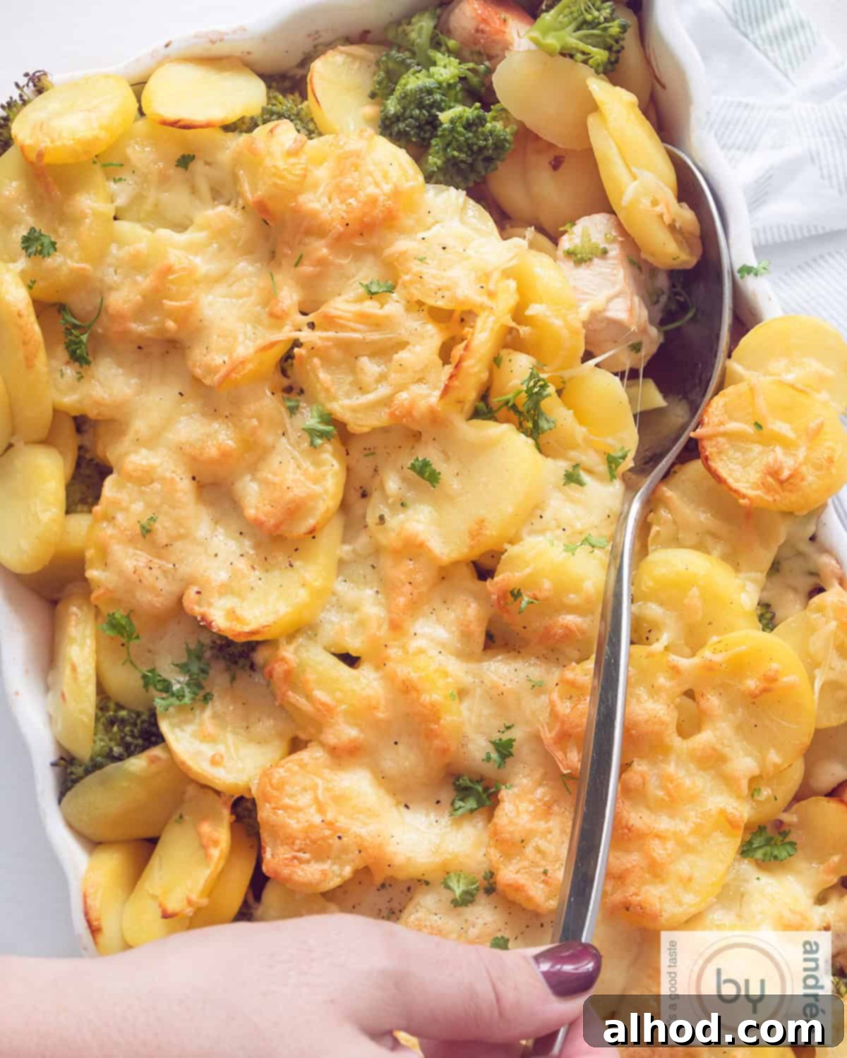 Hearty Chicken Broccoli Potato Casserole 3 A photo from above of an oven dish with a gratinated potato topping. A spoon scoops into the baking dish