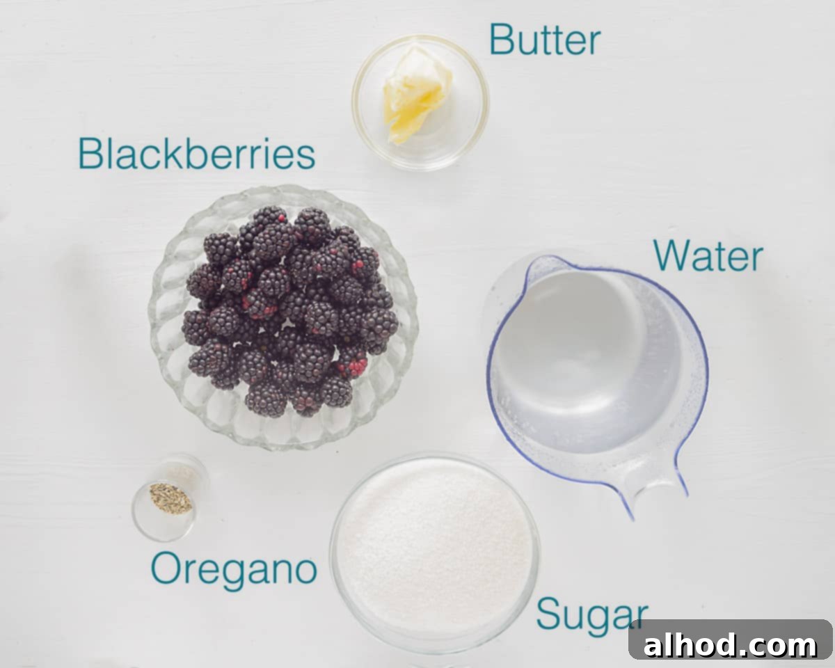 Aromatic Blackberry and Oregano Jam 3 Ingredients Blackberry Jam with Oregano individually labeled on a white background