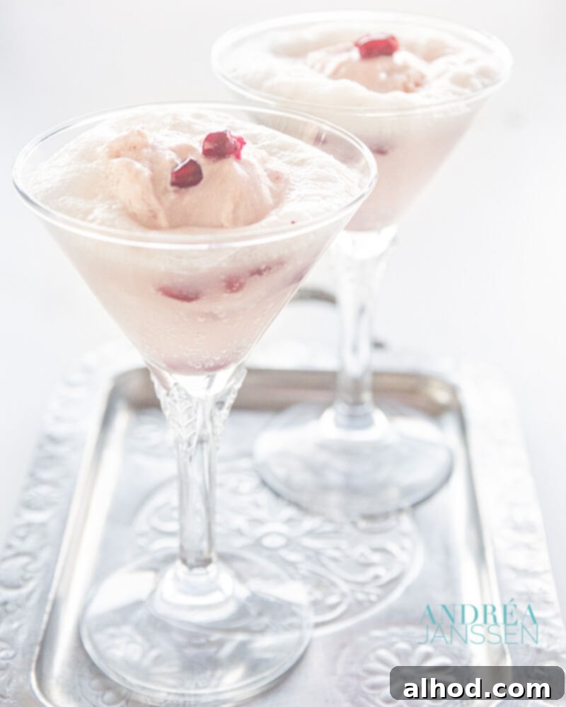 Two elegant glasses of Spoom, featuring pomegranate yogurt ice and Prosecco, presented on a glistening silver tray.