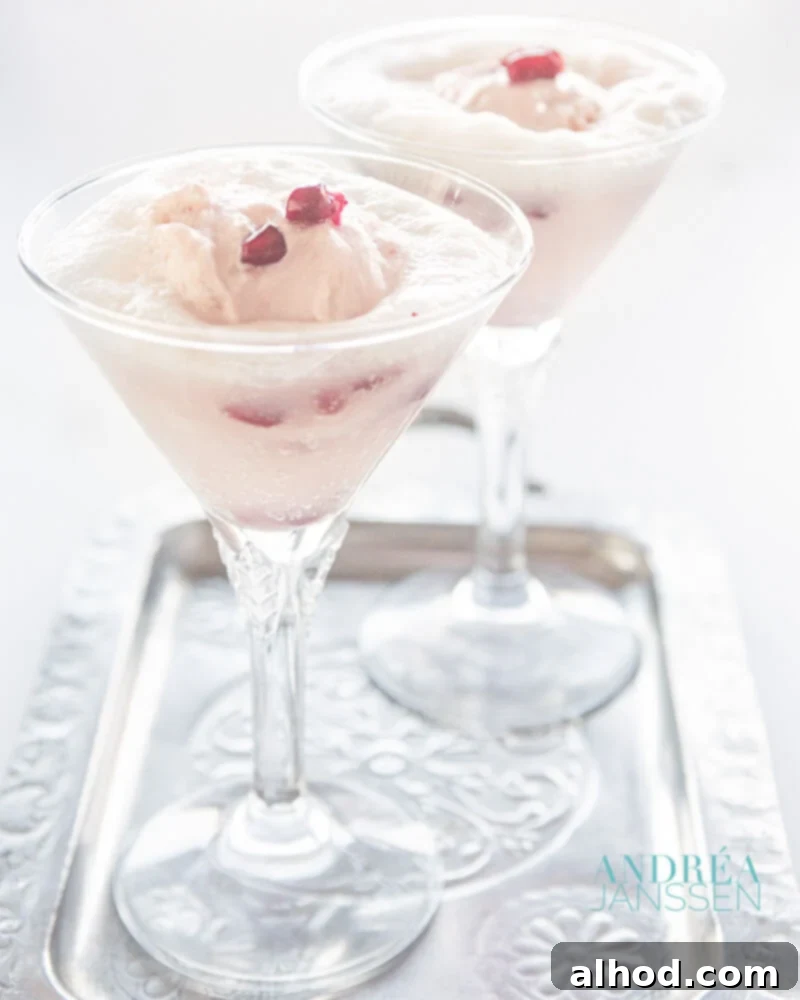 Two elegant glasses of Spoom with pomegranate yogurt ice cream and Prosecco, presented on a silver tray.