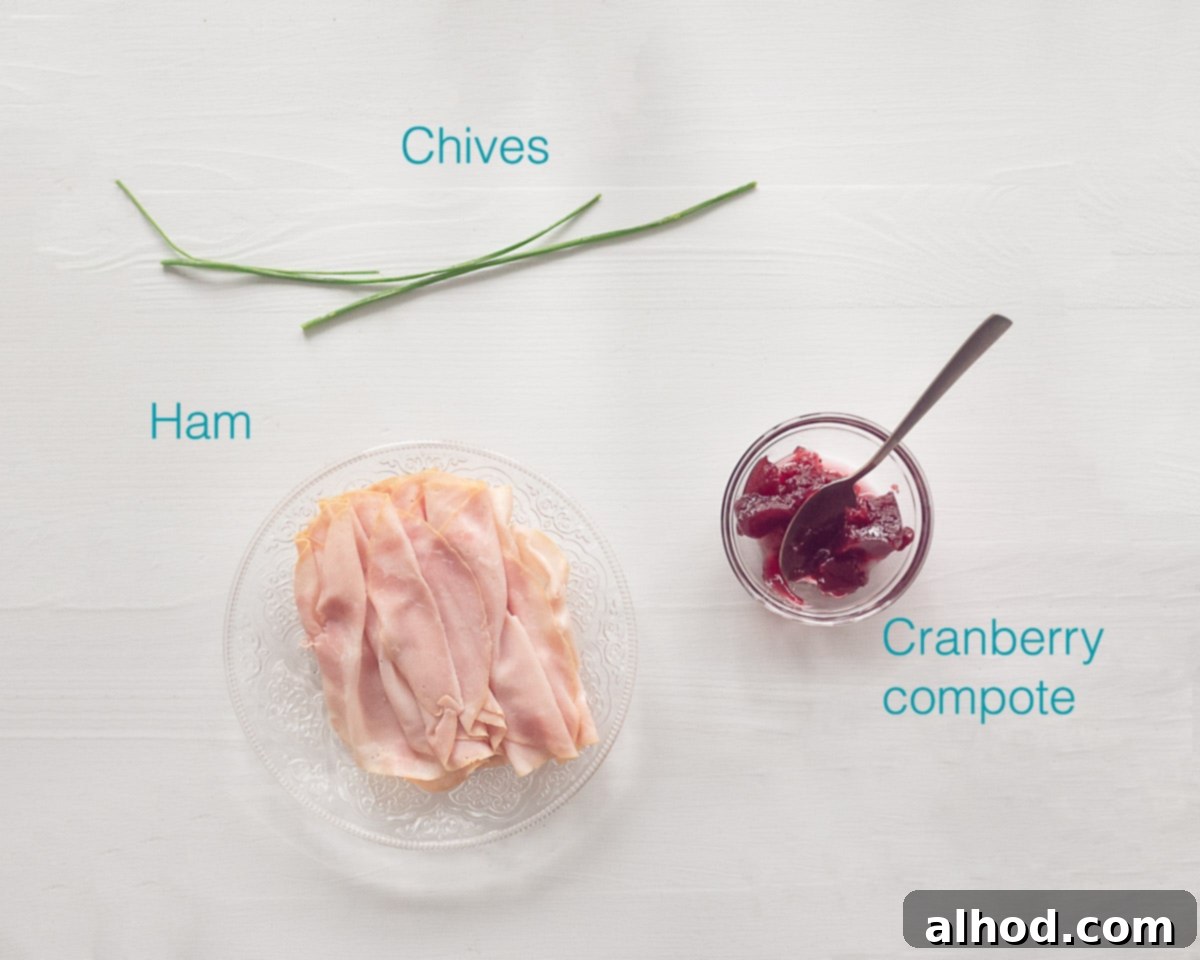 Sweet & Savory Ham Cranberry Morsels 3 A collection of fresh ingredients for Amuse Bouche with Ham and Cranberries arranged on a clean white background, accompanied by text overlay.
