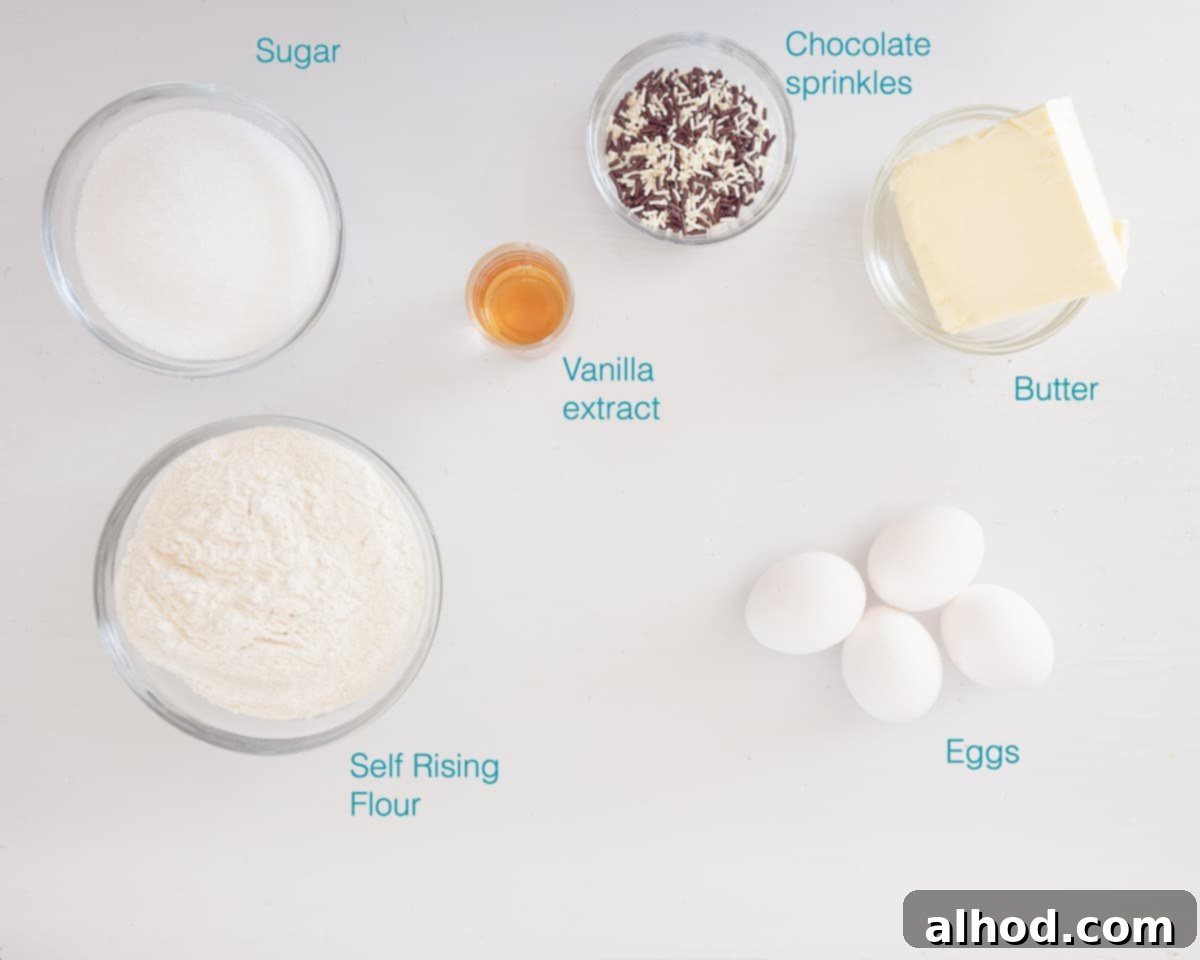 Dutch Hagelslag Vanilla Cake 3 Ingredients Vanilla Cake with Chocolate Sprinkles, individually labelled on a white background
