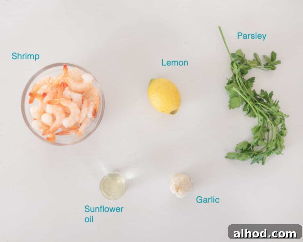 Grilled Lemon-Garlic Shrimp Skewers 3 Ingredients Lemon Garlic Grilled Shrimp Kabobs, individually labelled on a white background