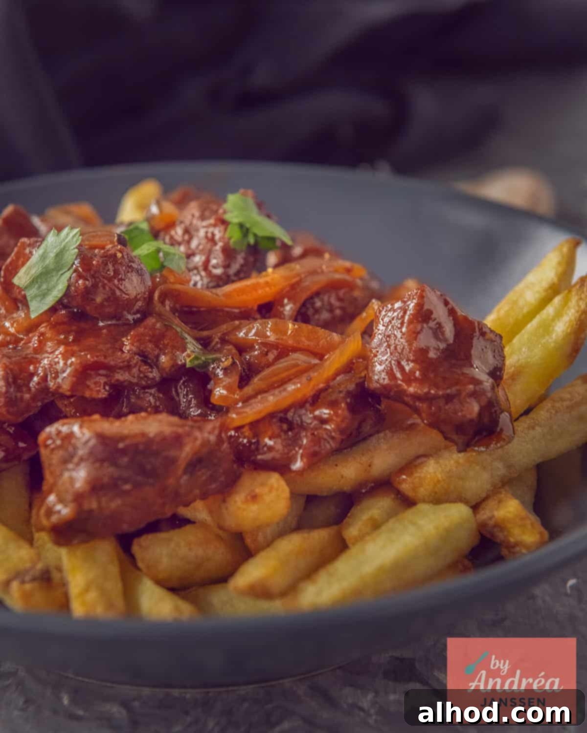 Dutch Stoofvlees Fries 2 A gray plate with fries and stew on it: fries stew