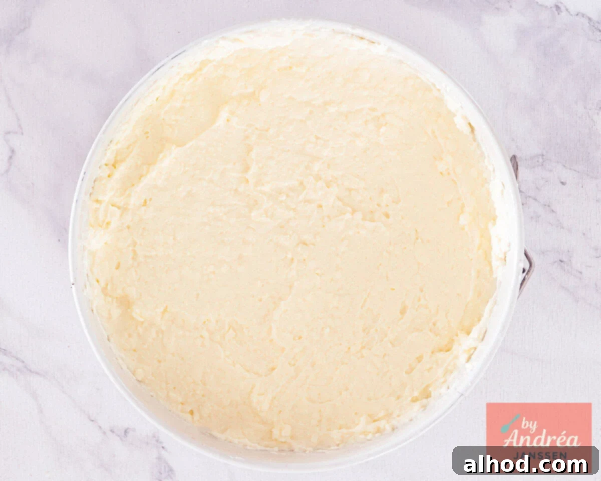 A springform pan with a perfectly smooth layer of fluffy white Monchou cheesecake filling spread over the Biscoff crust, ready for chilling.