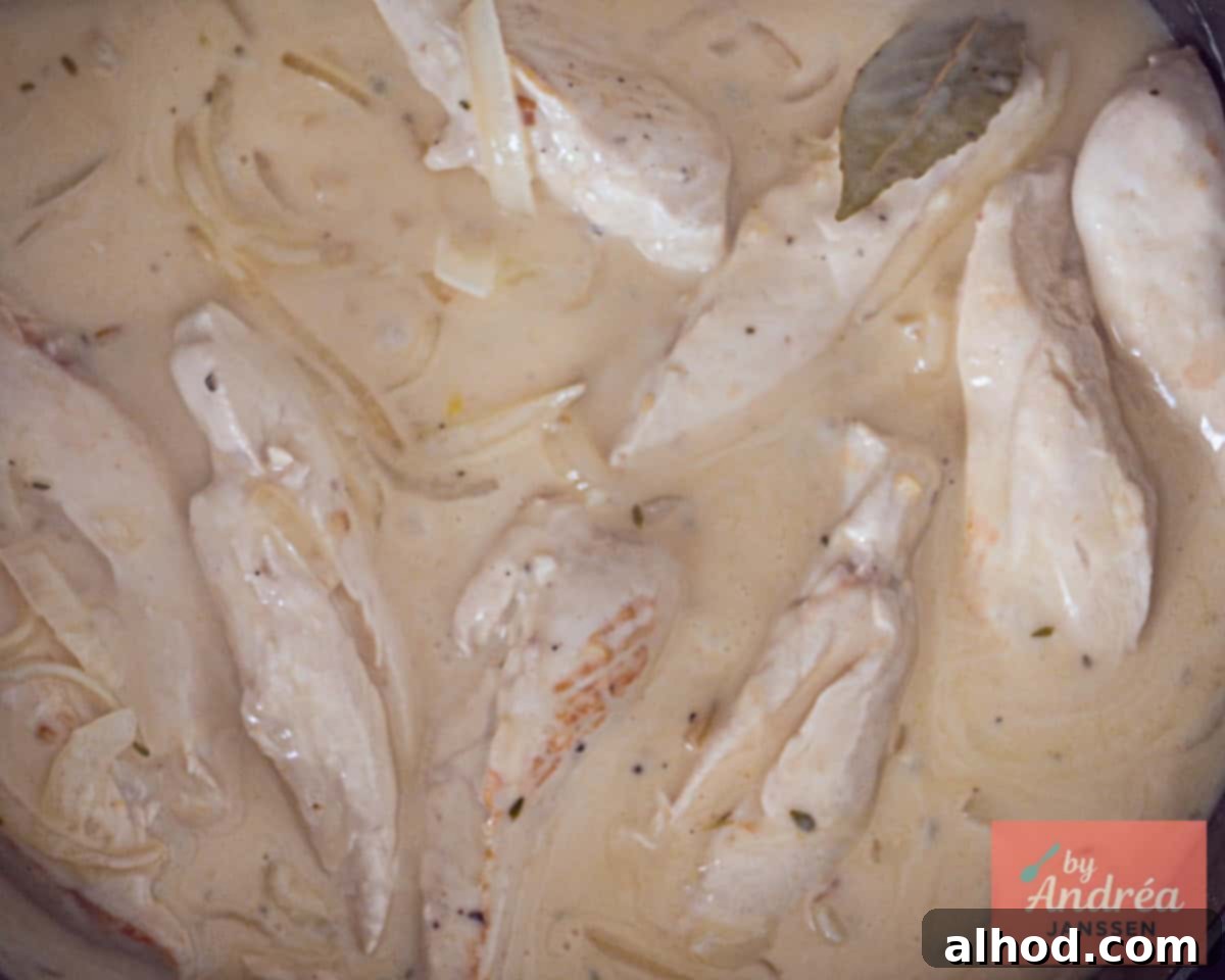 Tender chicken simmering in a creamy white wine sauce in a pan, ready to be served.
